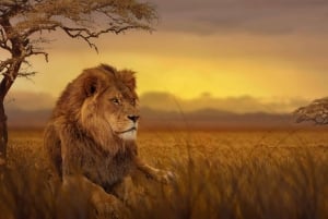 ミクミ国立公園での3日間アフリカサファリ体験