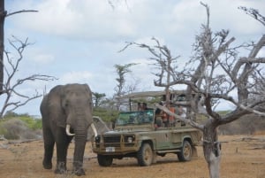 3-Day Dar Es Salaam to Selous for Wildlife Adventure