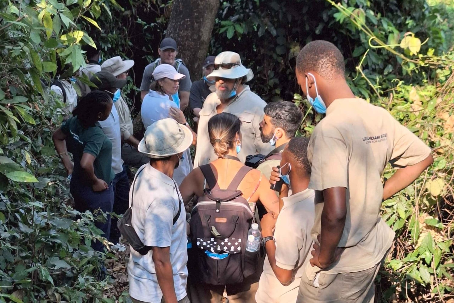 3-Day Gombe Chimpanzee Trekking, Kayaking & Town Sightseeing