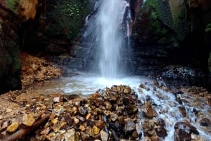 Trekking tra gli scimpanzé di Gombe, kayak e visita della città in 3 giorni