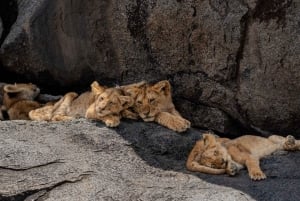 Safari de 3 dias | Parque Nacional do Serengeti e Cratera de Ngorongoro
