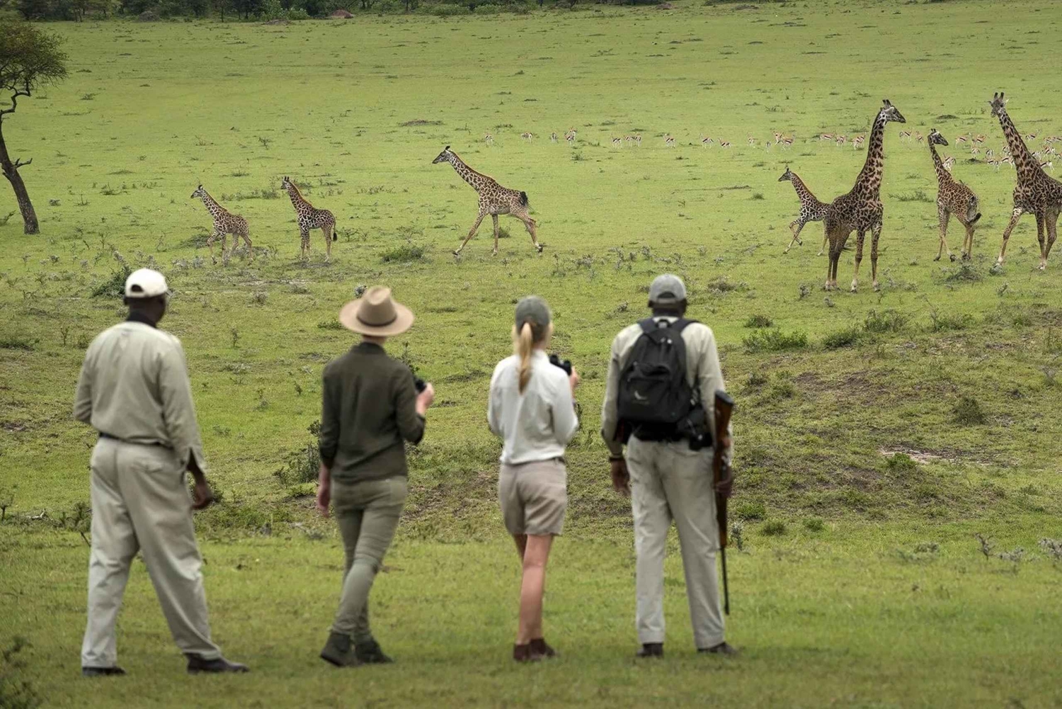 3-daagse Liefde en nalatenschap (Serengeti en Crater Escape)