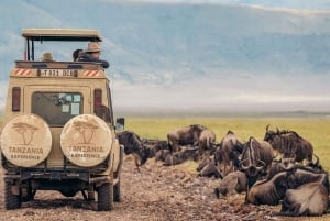 3-daagse Liefde en nalatenschap (Serengeti en Crater Escape)