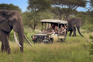 3-daagse Liefde en nalatenschap (Serengeti en Crater Escape)