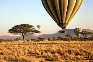 3-daagse Liefde en nalatenschap (Serengeti en Crater Escape)