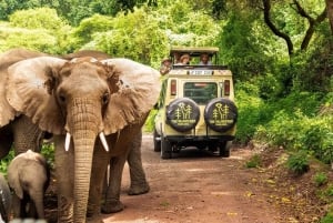 3-daagse Liefde en nalatenschap (Serengeti en Crater Escape)