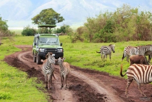 3-daagse Liefde en nalatenschap (Serengeti en Crater Escape)