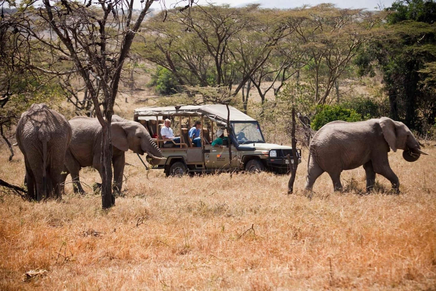 Ab Nairobi: 3-tägige Luxus-Safari - Kenia aus der Luft