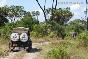 3-dages Mikumi safari-eventyr