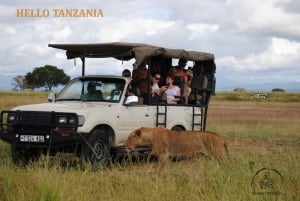3-dagers Mikumi safari-eventyr