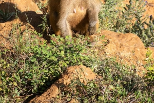 3 day Mikumi Safari, Uluguru Hike & Maasai Culture