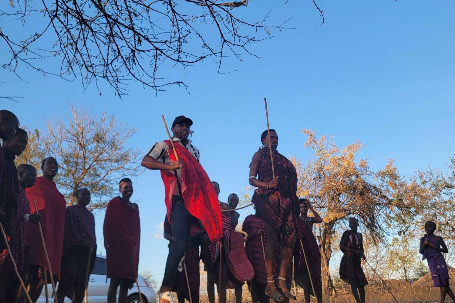 3-Day Mikumi Wildlife & Culture Adventure from Zanzibar