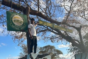 Avventura di 3 giorni tra fauna selvatica e cultura a Mikumi da Zanzibar