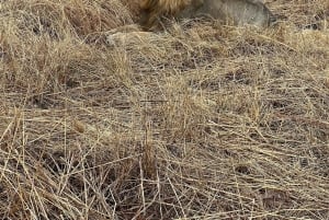 Aventure de 3 jours dans la faune et la culture de Mikumi depuis Zanzibar