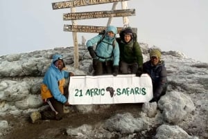 3-dagars bestigning av Kilimanjaro via Marangu-rutten