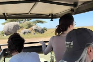 ザンジバルからミクミ公園までの3日間サファリ（電気列車利用）