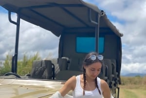 ザンジバルからミクミ公園までの3日間サファリ（電気列車利用）