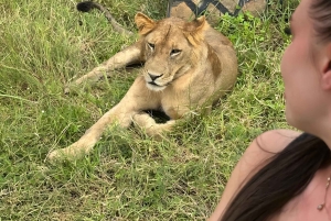 ザンジバルからミクミ公園までの3日間サファリ（電気列車利用）