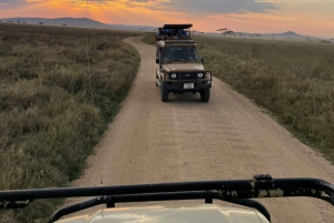 3-dagars safari till Serengeti & Ngorongoro + ballongupplevelse