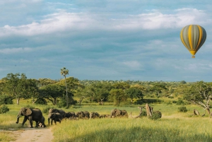 3-dagars safari till Serengeti & Ngorongoro + ballongupplevelse
