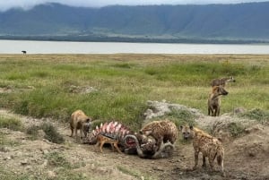 3-Day Safari Zanzibar to Nyerere Park by Boat, Car& Plane