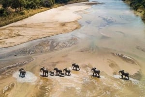 3-Day Safari Zanzibar to Nyerere Park by Boat, Car& Plane