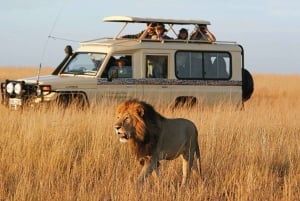 3-dniowe safari z przelotem do Serengeti z Zanzibaru – opcja all inclusive