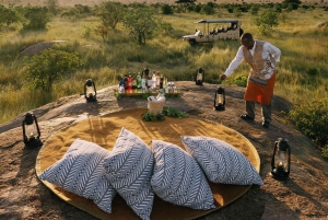 Safari de 3 dias no Serengeti saindo de Nairóbi