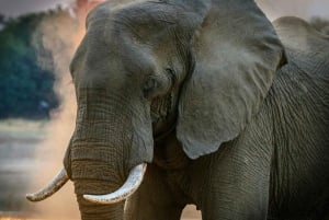 3-dagars bestigning av Kilimanjaro via Marangu-rutten