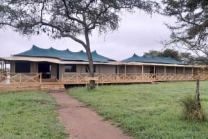 3-dages safari i Tarangire, Hadzabe og Ngorongoro fra Nairobi