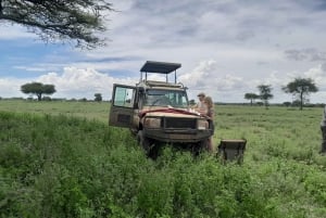 3-dages safari i Tarangire, Hadzabe og Ngorongoro fra Nairobi