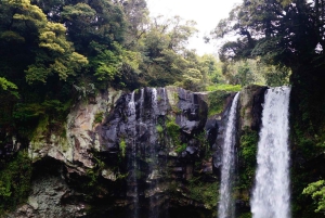 3-Day Udzungwa Mountains Trekking