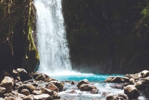 3-Day Udzungwa Mountains Trekking