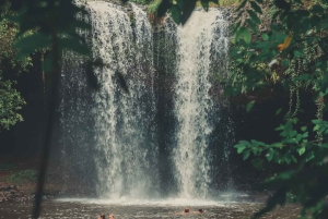 3-Day Udzungwa Mountains Trekking