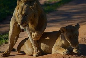 Recuerdos inolvidables de 3 días desde Dar-es-Salaam al PN Mikumi