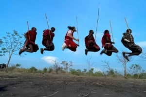 3 dagar 2 nätter Fantastisk Masai Tour & Mikumi National Park