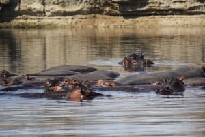 3 dagar 2 nätter Fantastisk Masai Tour & Mikumi National Park