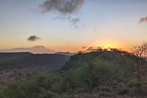 Safari en grupo de 3 días y 2 noches a Maasai Mara