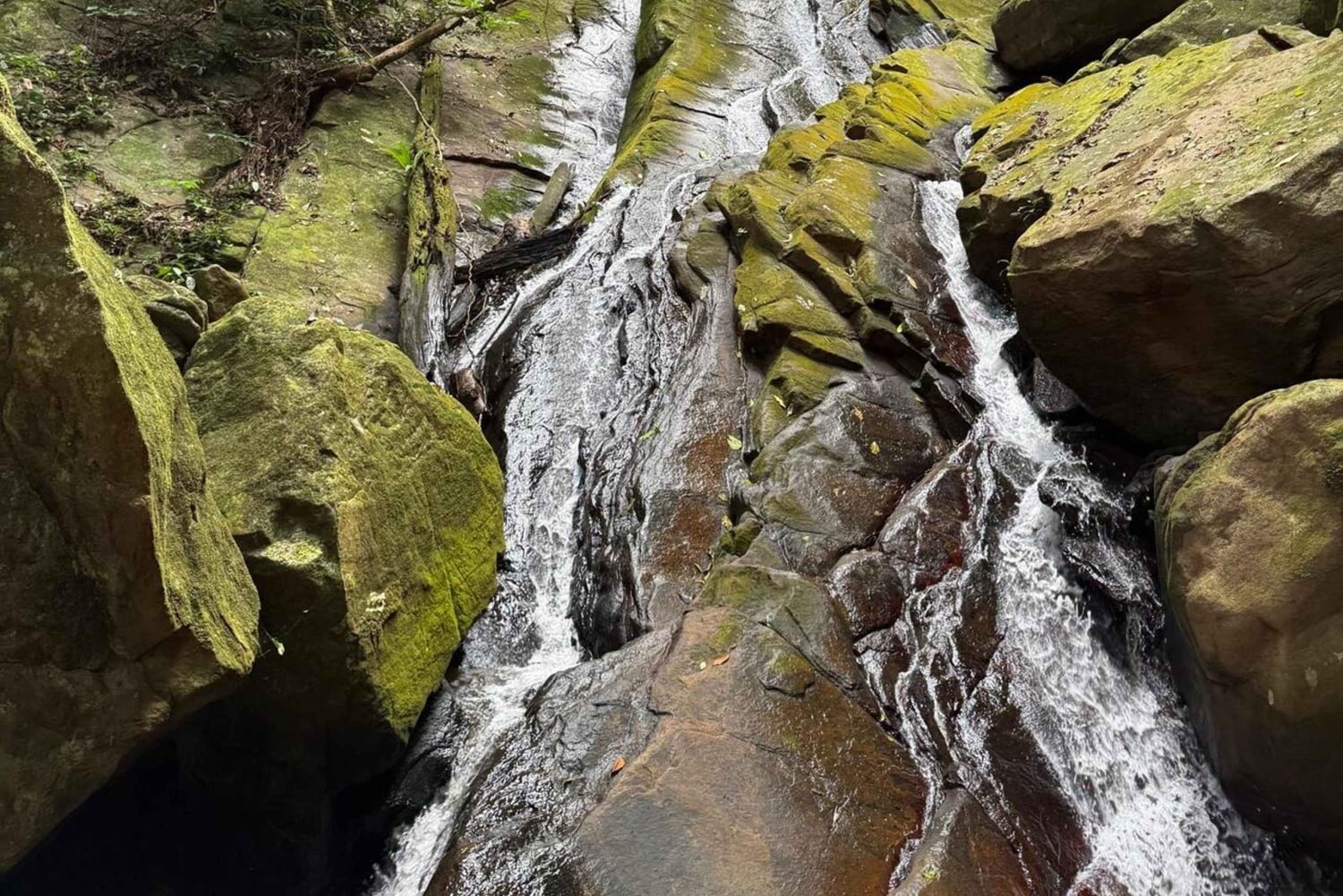 3 Tage und 2 Nächte Magoroto-Wald-Tagestour von Sansibar aus mit dem Flugzeug