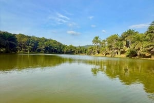 3 Tage und 2 Nächte Magoroto-Wald-Tagestour von Sansibar aus mit dem Flugzeug