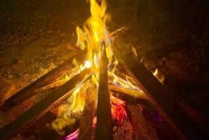 3 Tage und 2 Nächte Magoroto-Wald-Tagestour von Sansibar aus mit dem Flugzeug