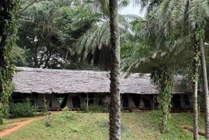 3 Tage und 2 Nächte Magoroto-Wald-Tagestour von Sansibar aus mit dem Flugzeug