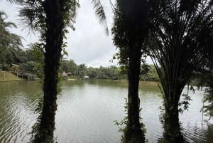 3 Tage und 2 Nächte Magoroto-Wald-Tagestour von Sansibar aus mit dem Flugzeug