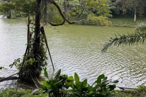 3 Tage und 2 Nächte Magoroto-Wald-Tagestour von Sansibar aus mit dem Flugzeug