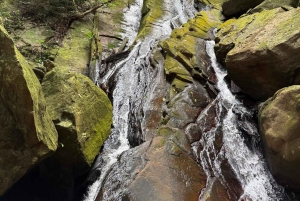 3 Tage und 2 Nächte Magoroto-Wald-Tagestour von Sansibar aus mit dem Flugzeug