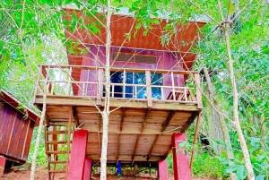 3 Tage und 2 Nächte Magoroto-Wald-Tagestour von Sansibar aus mit dem Flugzeug