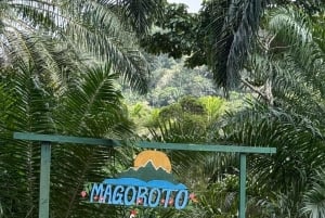 3 Tage und 2 Nächte Magoroto-Wald-Tagestour von Sansibar aus mit dem Flugzeug