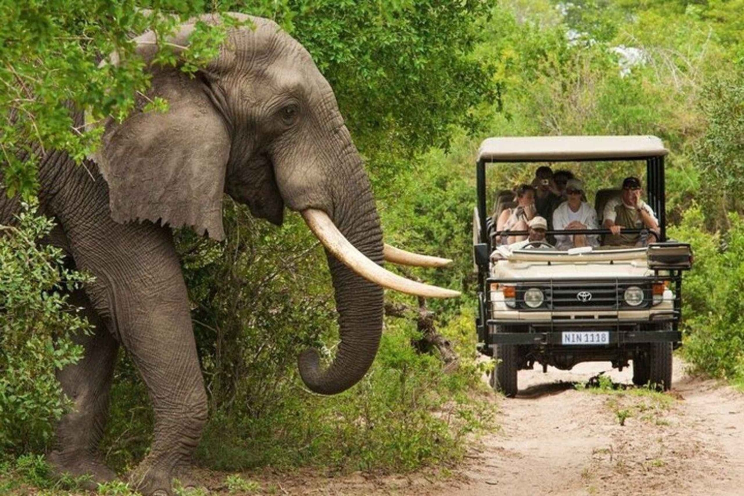 Safari di 3 giorni e 2 notti da Zanzibar a Mikumi in traghetto.