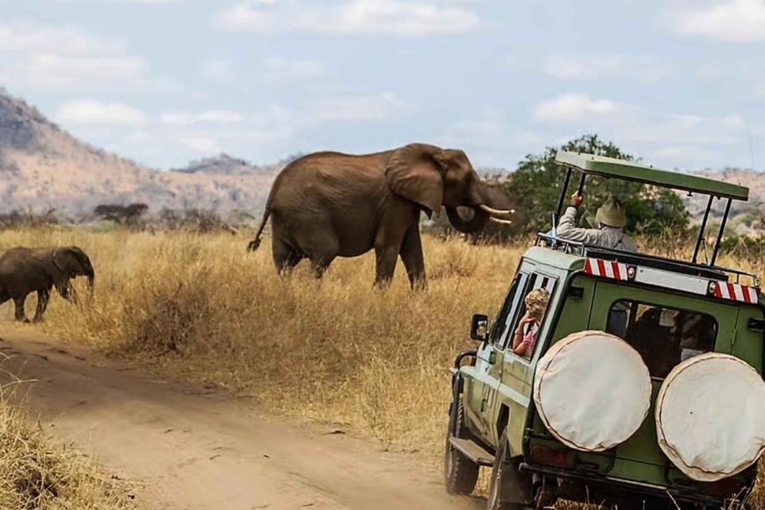 3 giorni 2 notti di safari da Zanzibar a Mikumi in traghetto