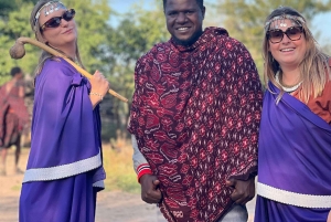 Safari di 3 giorni e 2 notti da Zanzibar a Mikumi in traghetto.